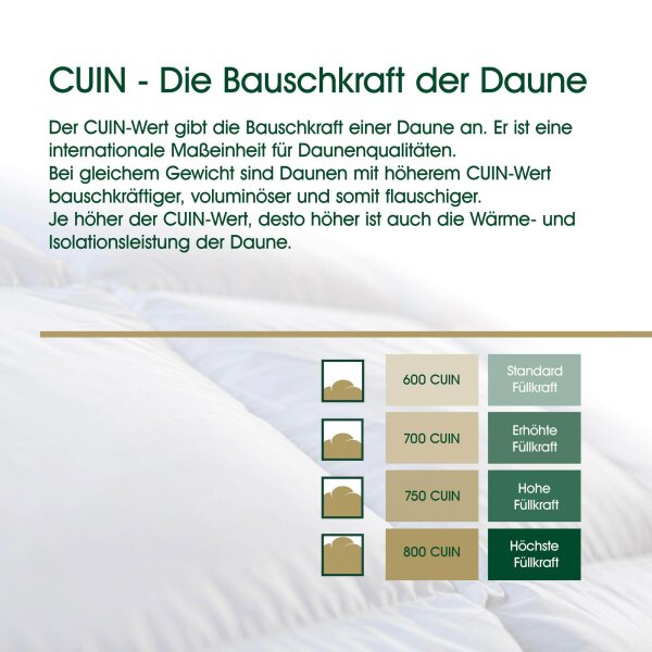 HANSKRUCHEN Daunendecke Diamant