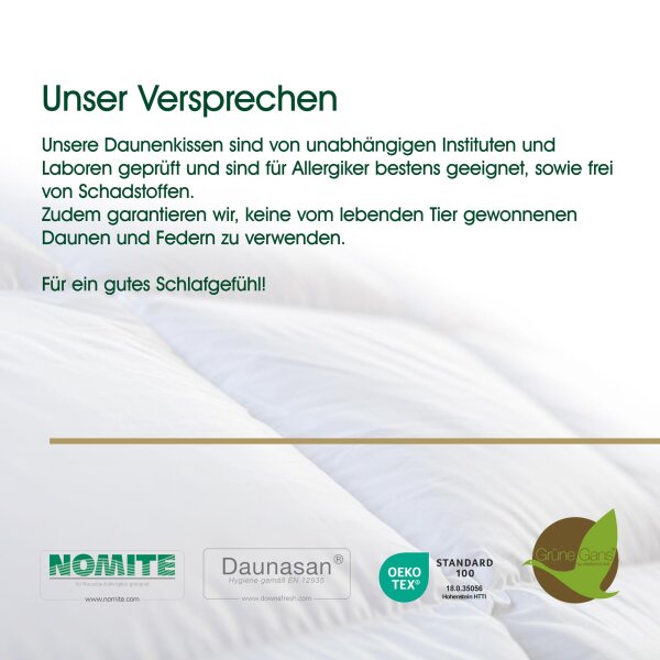 HANSKRUCHEN Daunenkissen Rubin