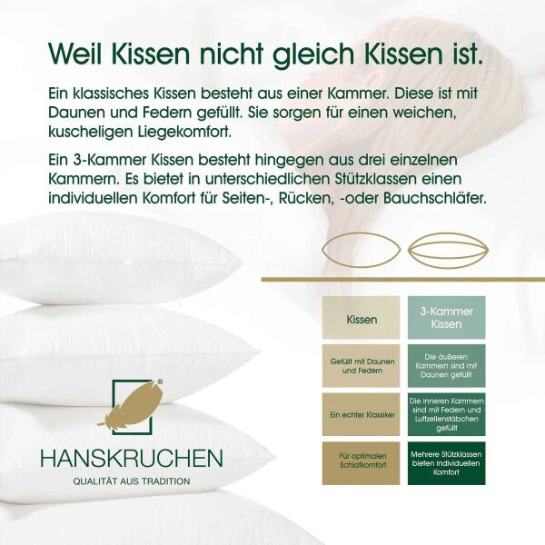 HANSKRUCHEN Kopfkissen Nordlicht Winter-Edition 80x80 cm