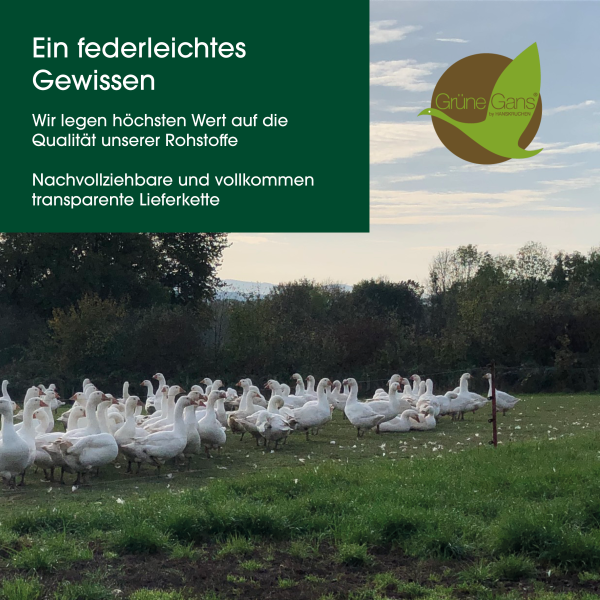 HANSKRUCHEN Premium de Luxe Daunenkissen 40×80 cm – 2er-Pack