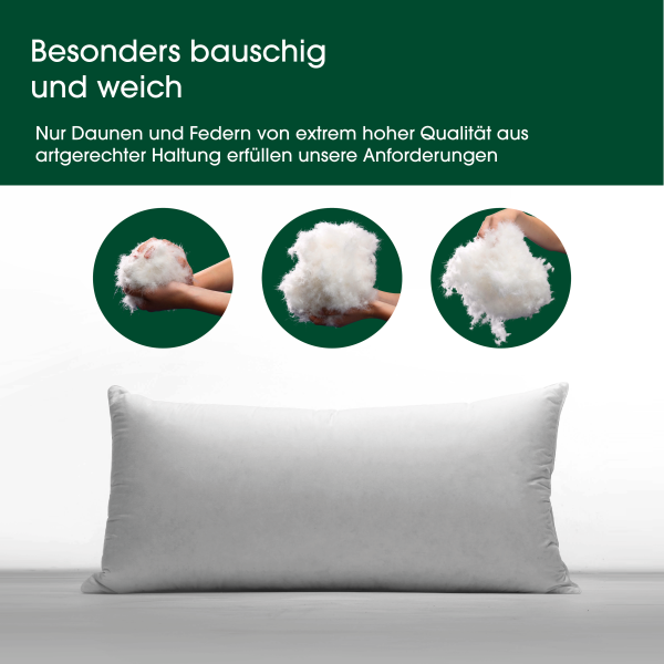 HANSKRUCHEN Premium de Luxe Daunenkissen 40×80 cm – 2er-Pack
