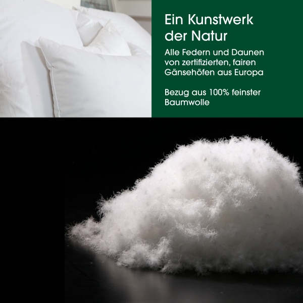 HANSKRUCHEN Premium de Luxe Daunenkissen 40×80 cm – 2er-Pack