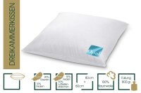 HANSKRUCHEN® Rubin 3- Chamber Pillow 80 x 80 cm