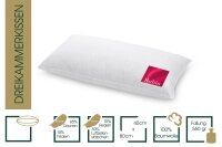 HANSKRUCHEN® Rubin 3- Chamber Pillow 40 x 80 cm